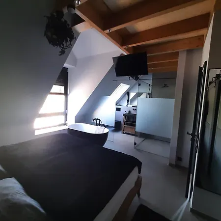 Paulina Bis 2p Josefine Bis 4p Apartment Munster (North Rhine-Westphalia)